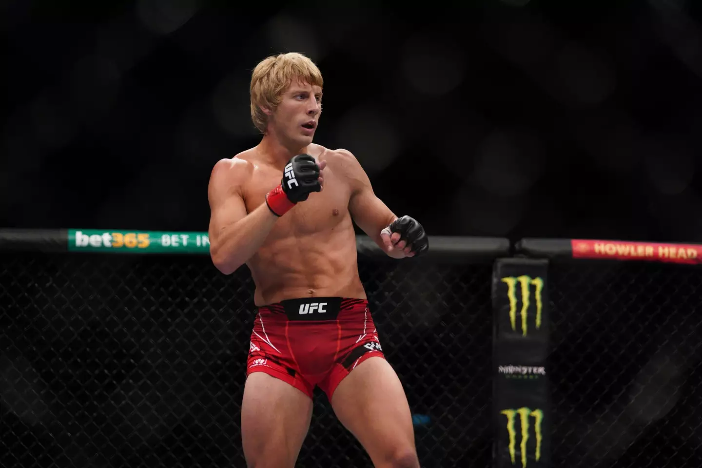 Paddy Pimblett in action in the UFC Image: Alamy