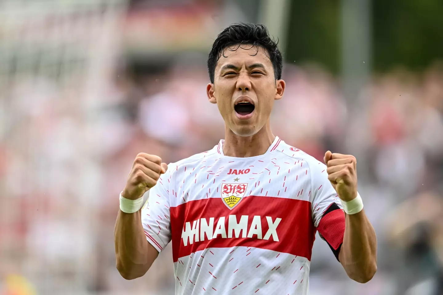 Wataru Endo celebrates after scoring for Stuttgart. Image: Getty