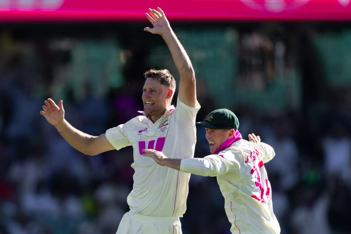 Beau Webster celebrates taking a wicket. Image: Getty