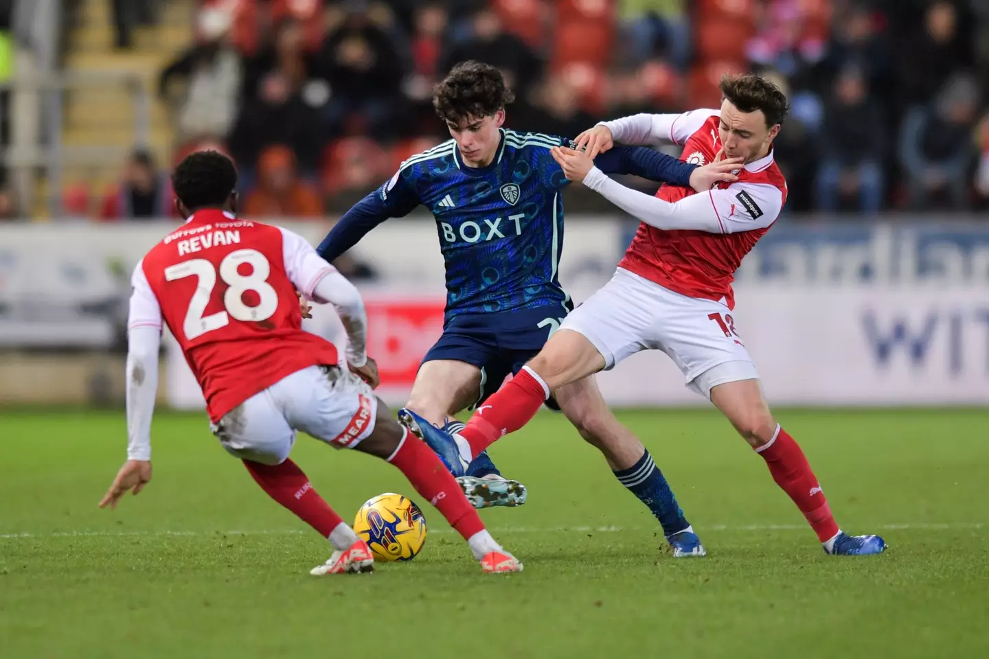 Gray in action against Rotherham United. (Image