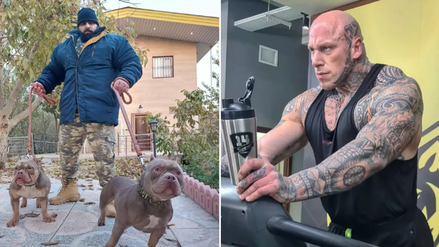 Iranian Hulk Hits Back At Martyn Ford's Claims That He Is Photoshopped