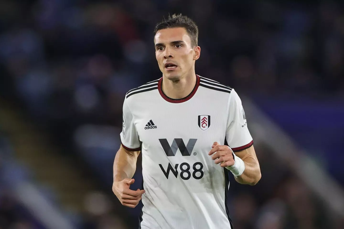 Fulham are now just two wins from a first FA Cup final since 1975 (Alamy)