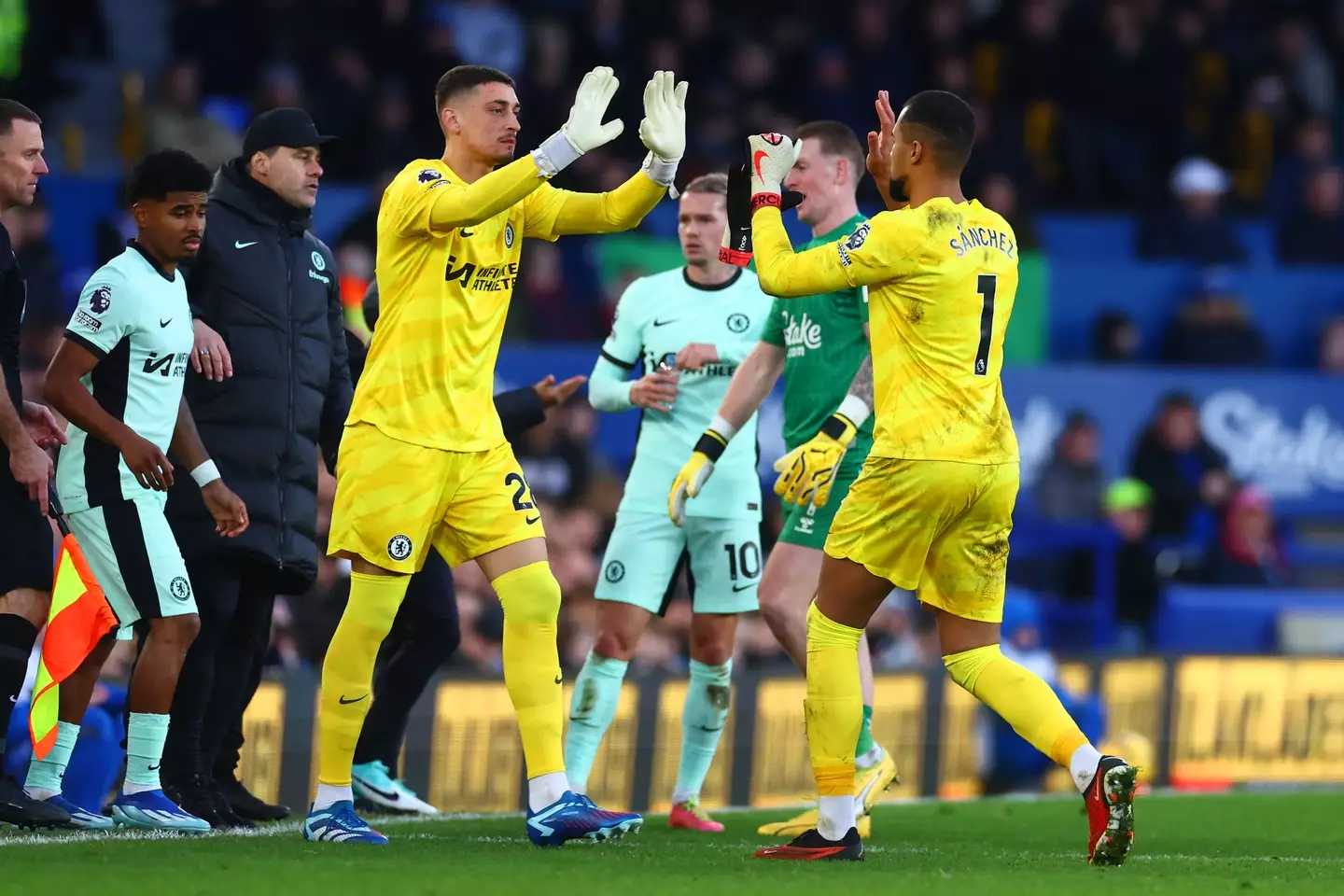 Petrovic made his debut for Chelsea last weekend, and is all but set to start this weekend. (