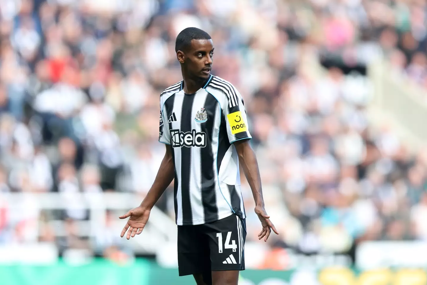 Alexander Isak views his Newcastle United career as over and has no wish to reintegrate. Image: Getty