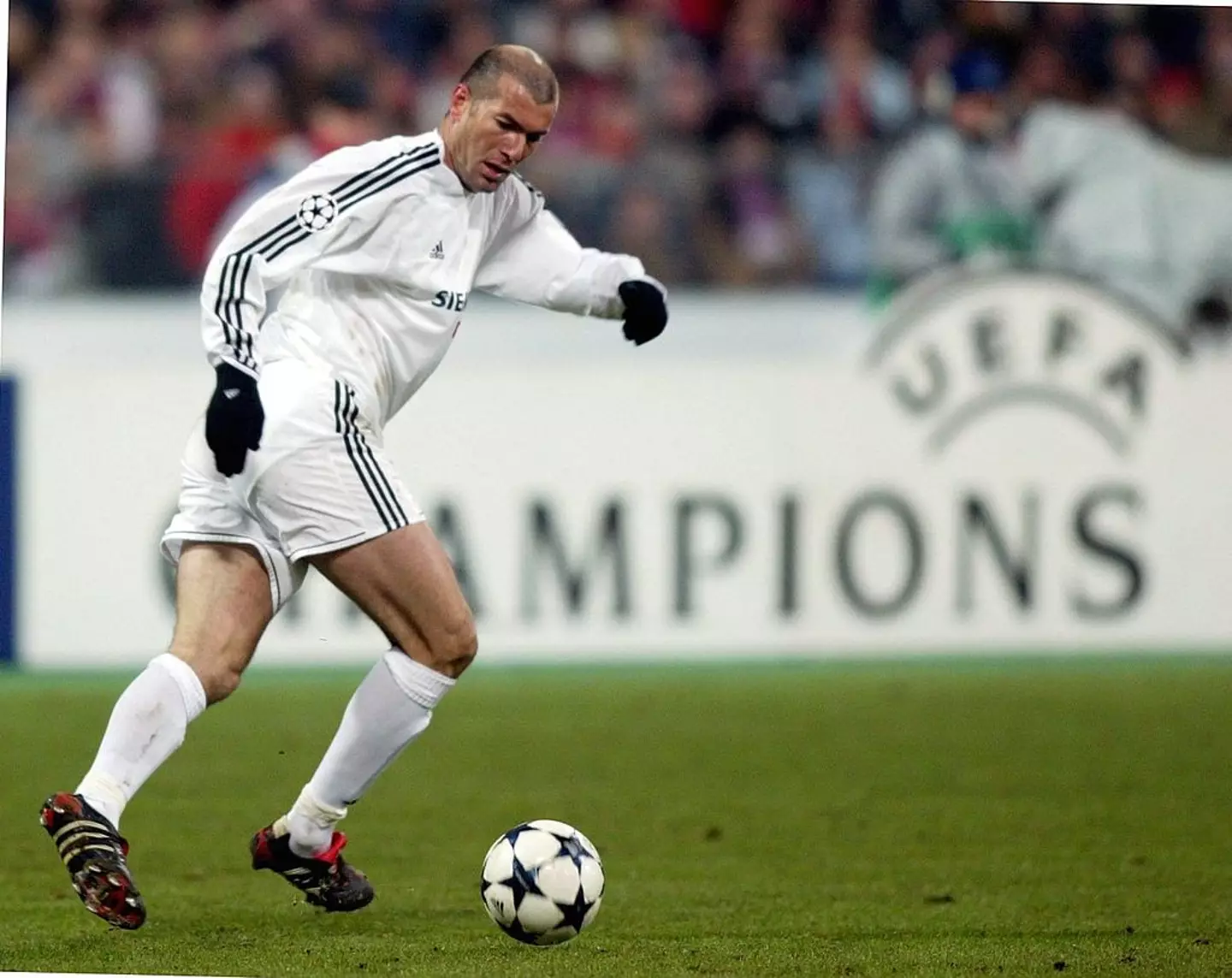 Zinedine Zidane played for Real Madrid between 2001 and 2006 (Image: Getty)