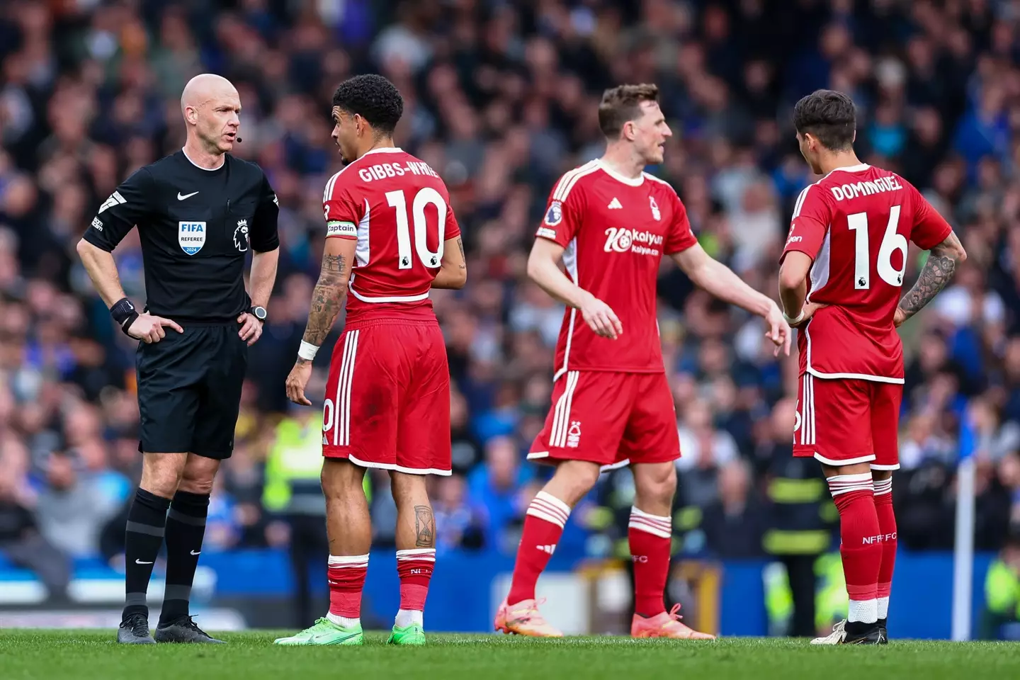 Forest players against Everton. (