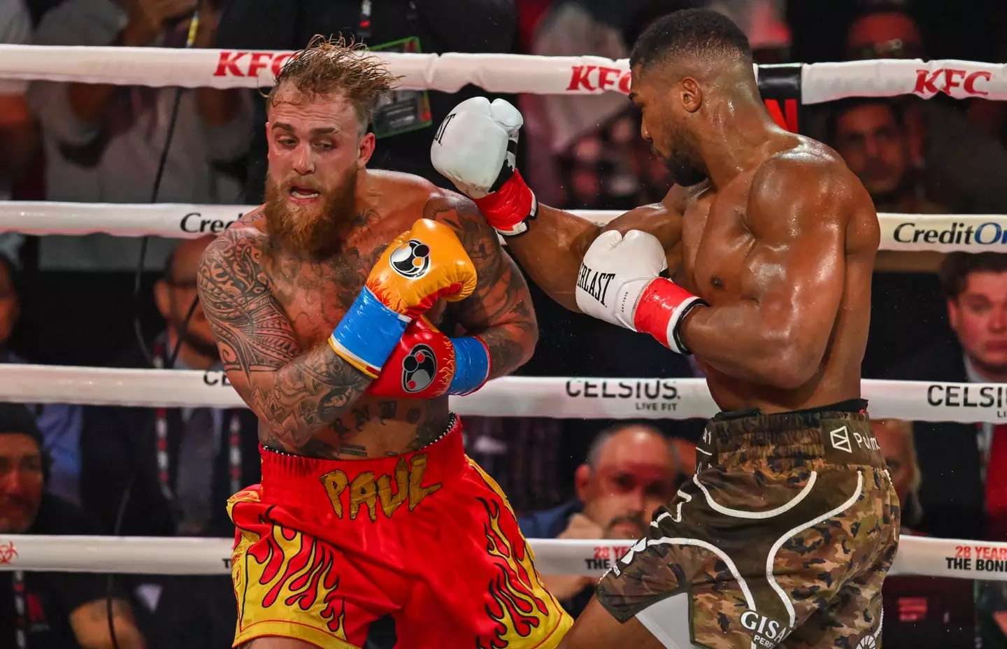 Paul and Joshua went toe-to-toe in Miami. Image credit: Getty