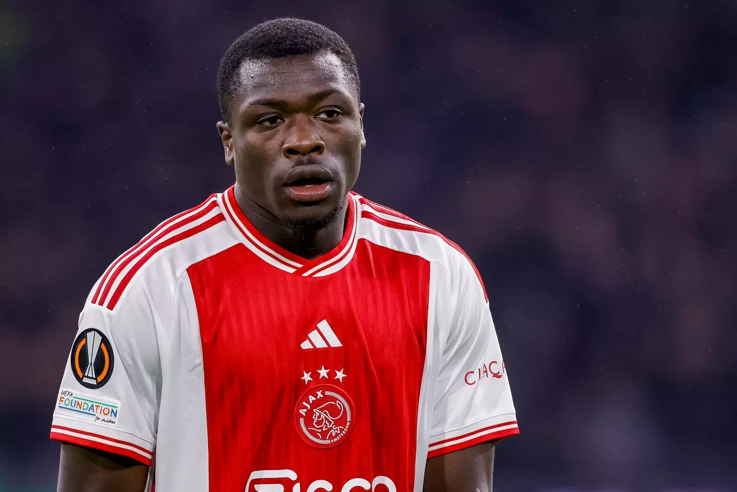 Brobbey has scored 12 goals in 24 games this season. (Image