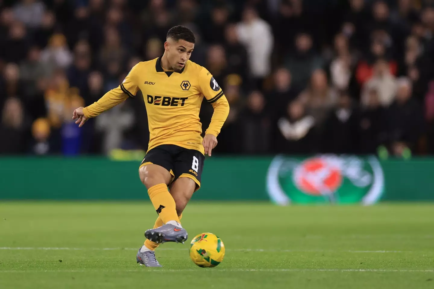 Joao Gomes in action for Wolves (Image: Getty)