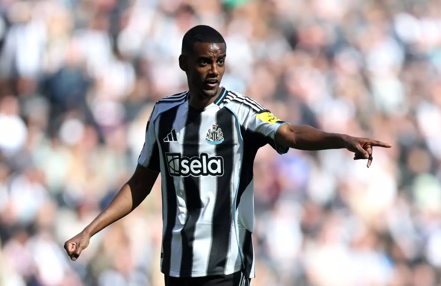 Alexander Isak is wanted by Al Hilal. Image: Getty