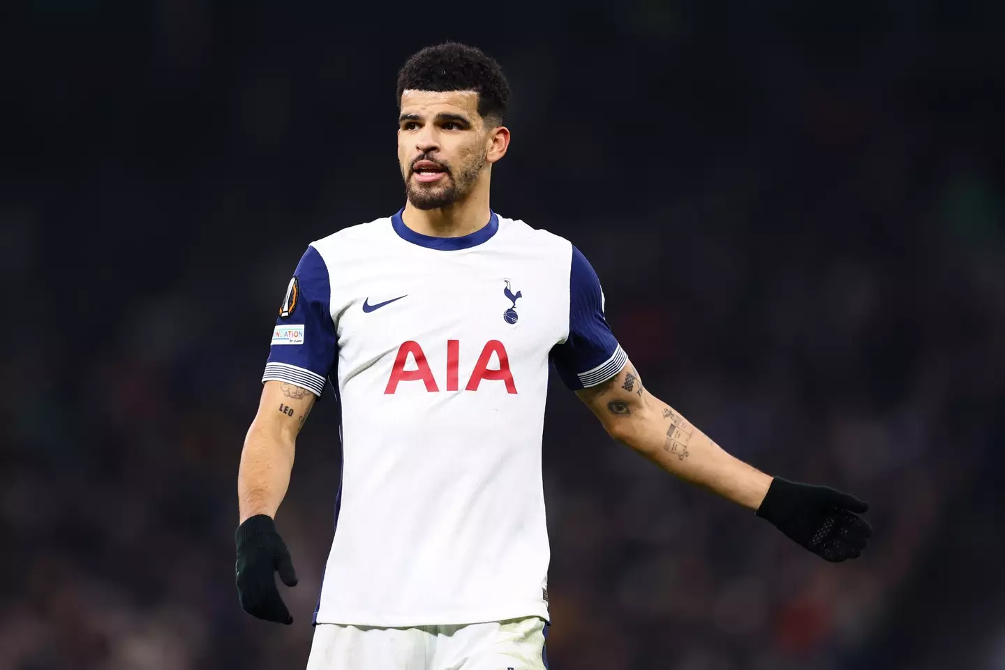 Dominic Solanke joined Tottenham Hotspur this summer. Image: Getty
