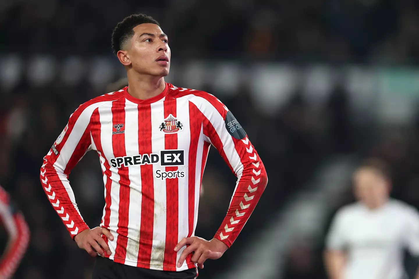 Jobe Bellingham has been in fine form for Sunderland. Image: Getty