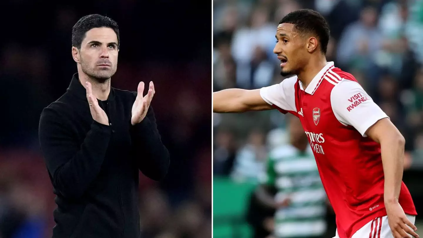 Arsenal could save £50million next summer on William Saliba understudy