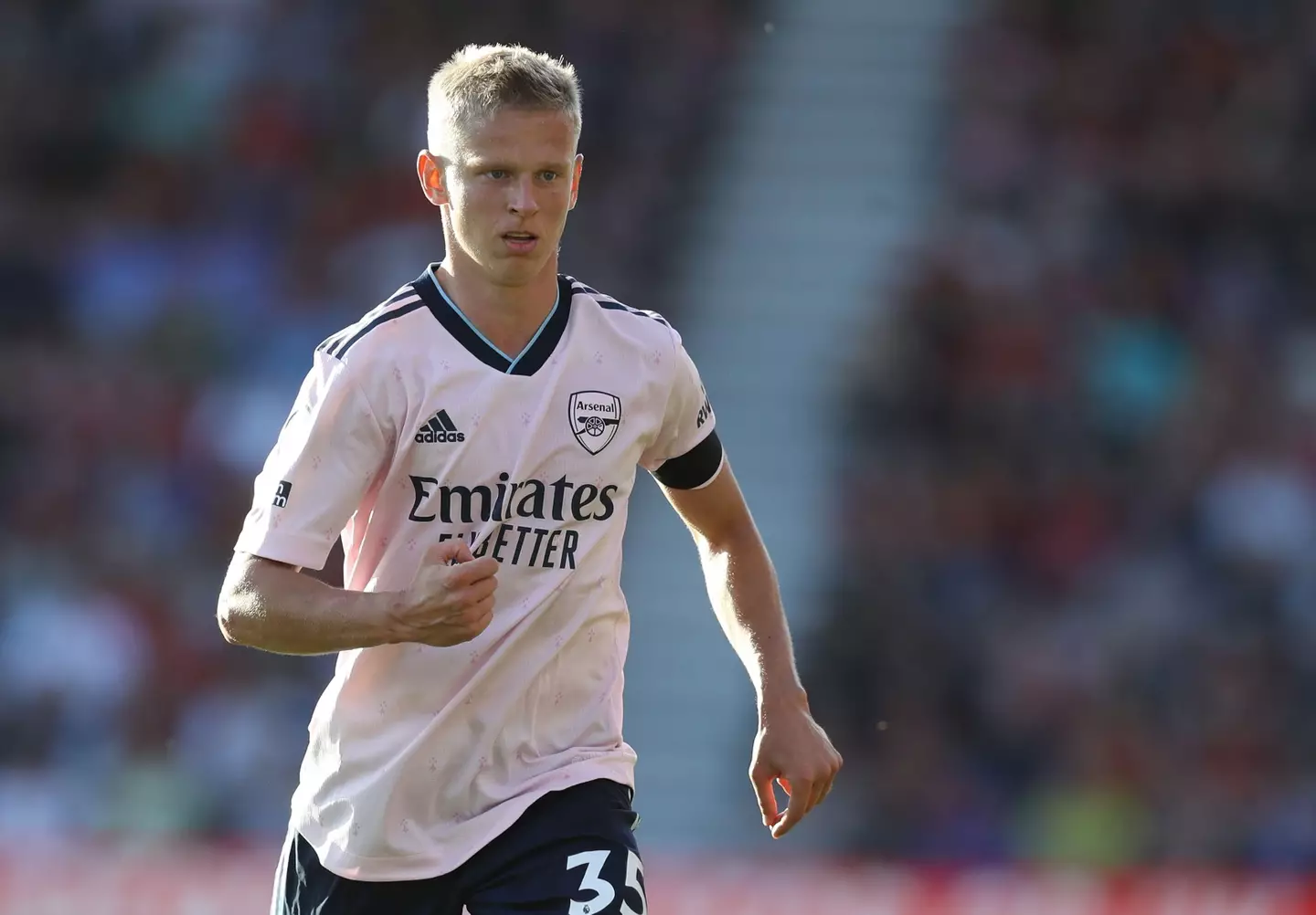 Fans already love Zinchenko. Image: Alamy