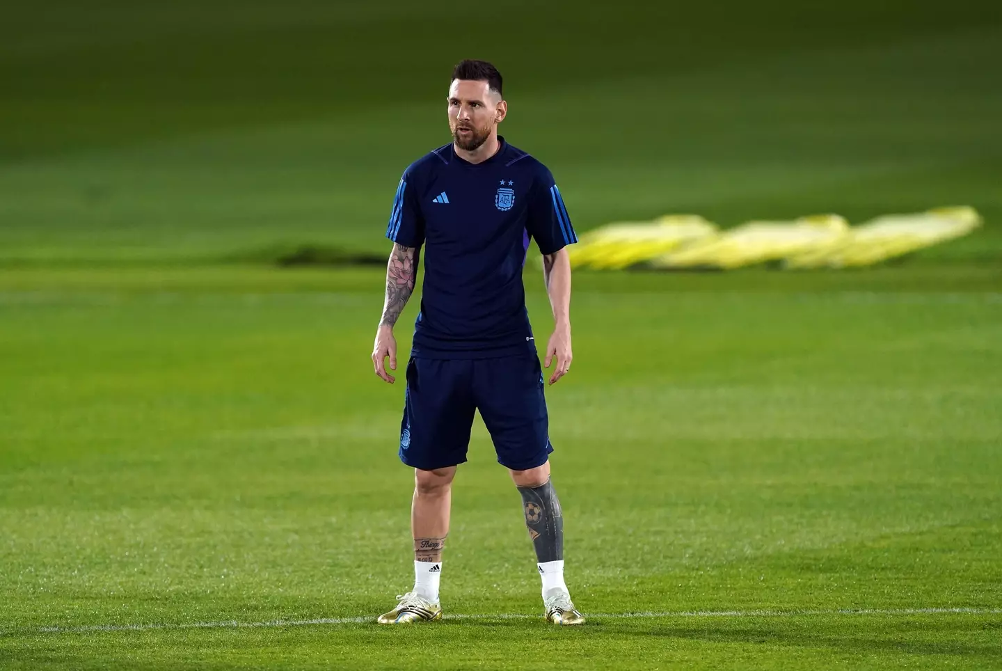 Lionel Messi in training for Argentina. Image: Alamy