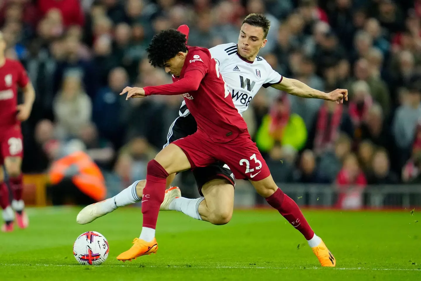 Fulham midfielder Joao Palhinha pictured (