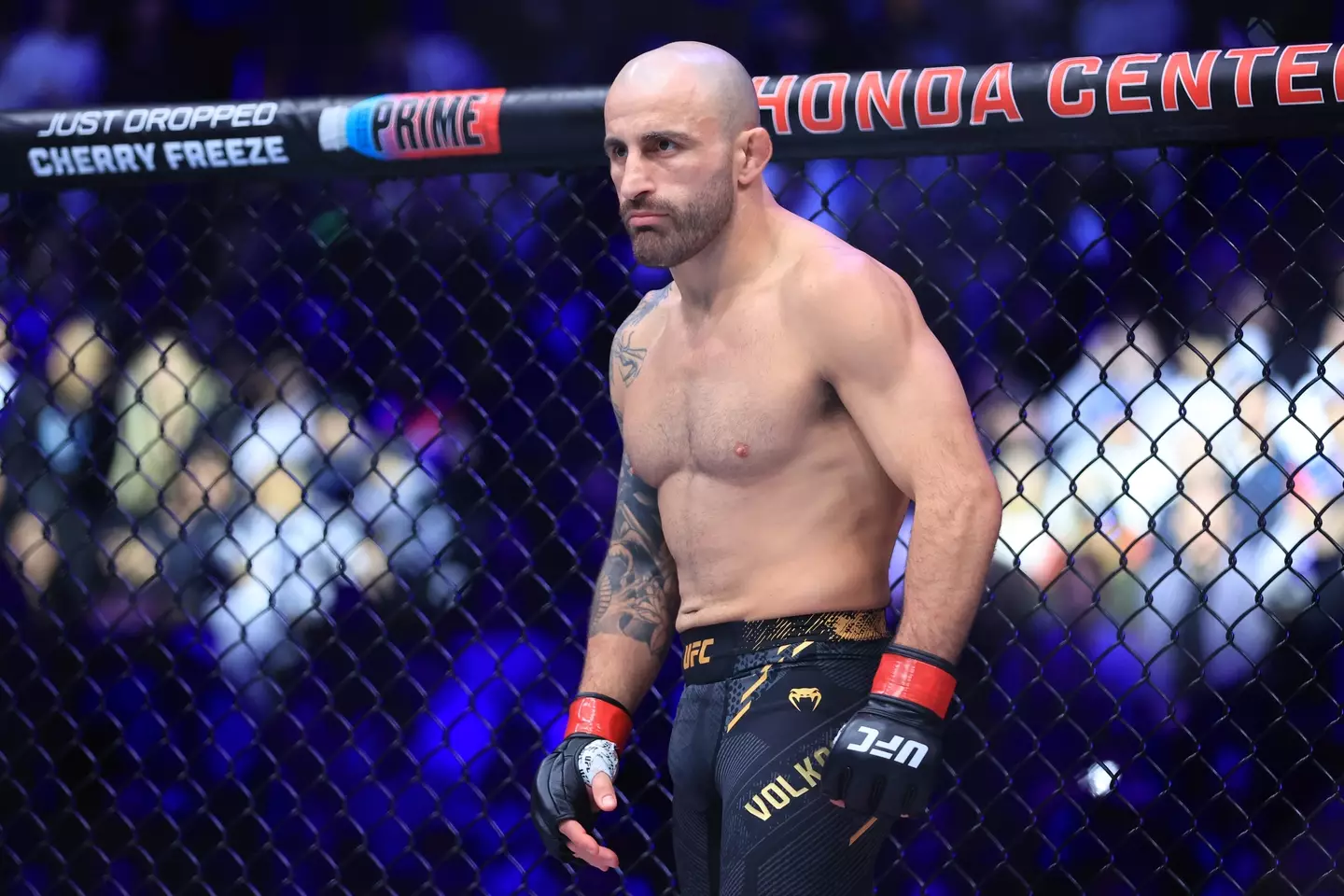 Volkanovski was last in The Octagon February 2024.