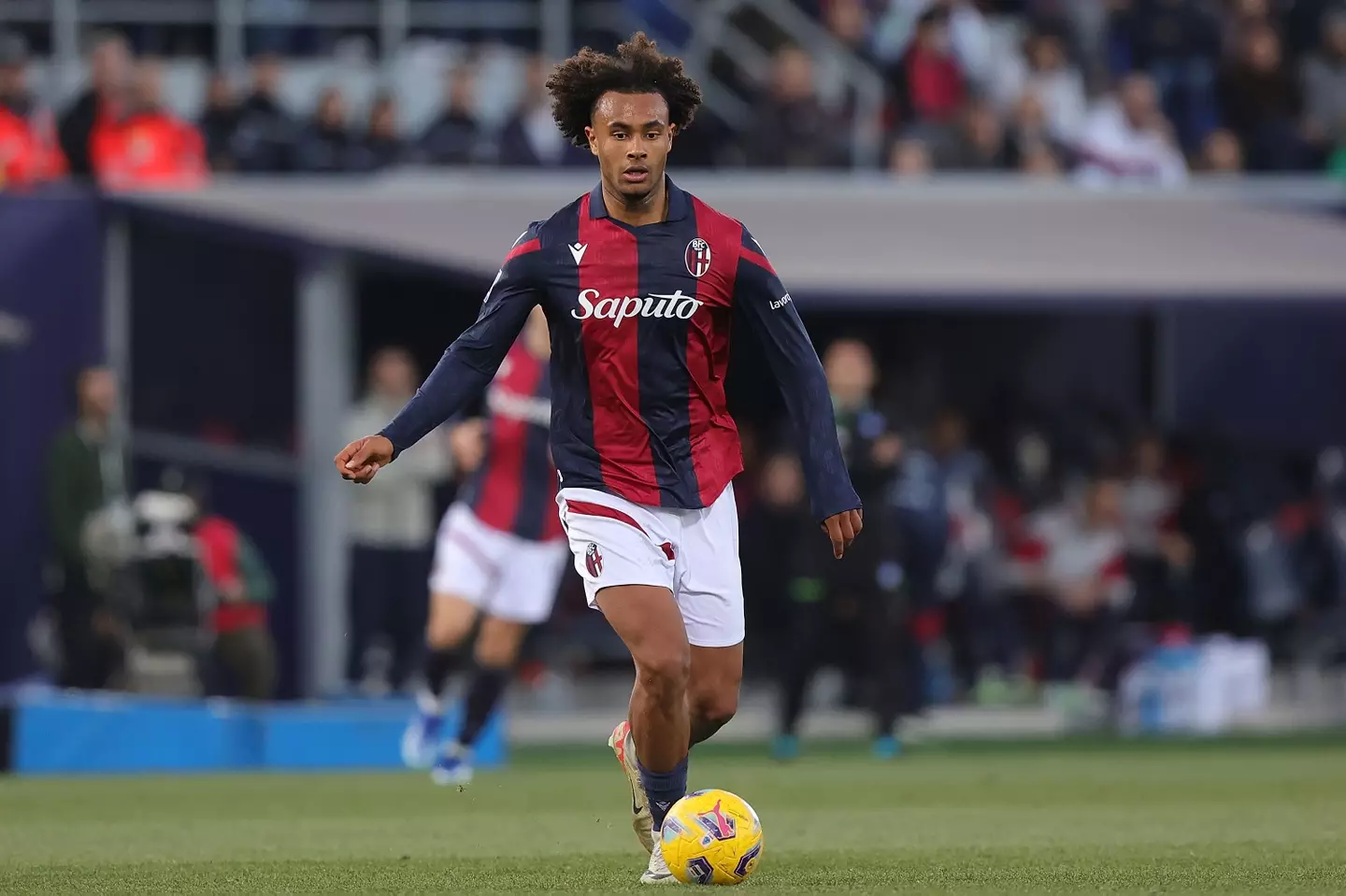 Joshua Zirkzee has impressed for Bologna. (Image: Getty)