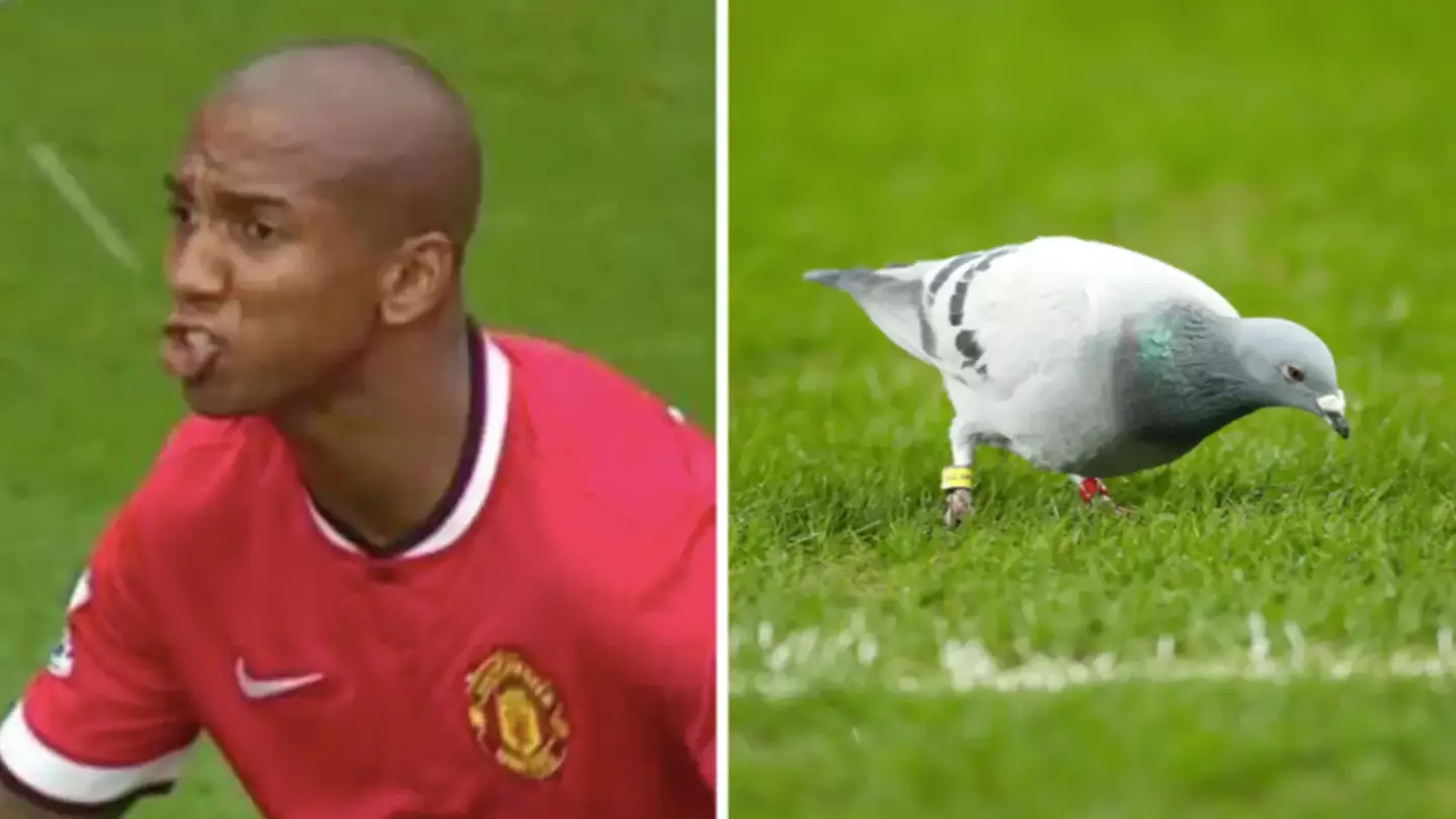 Remembering When A Bird Apparently Pooped In Ashley Young's Mouth