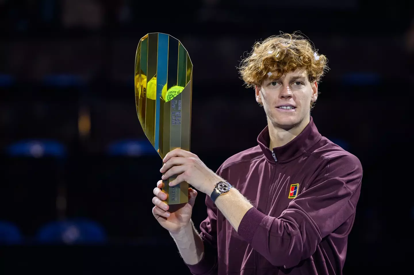 Jannik Sinner celebrates winning the Vienna Open. Image: Getty