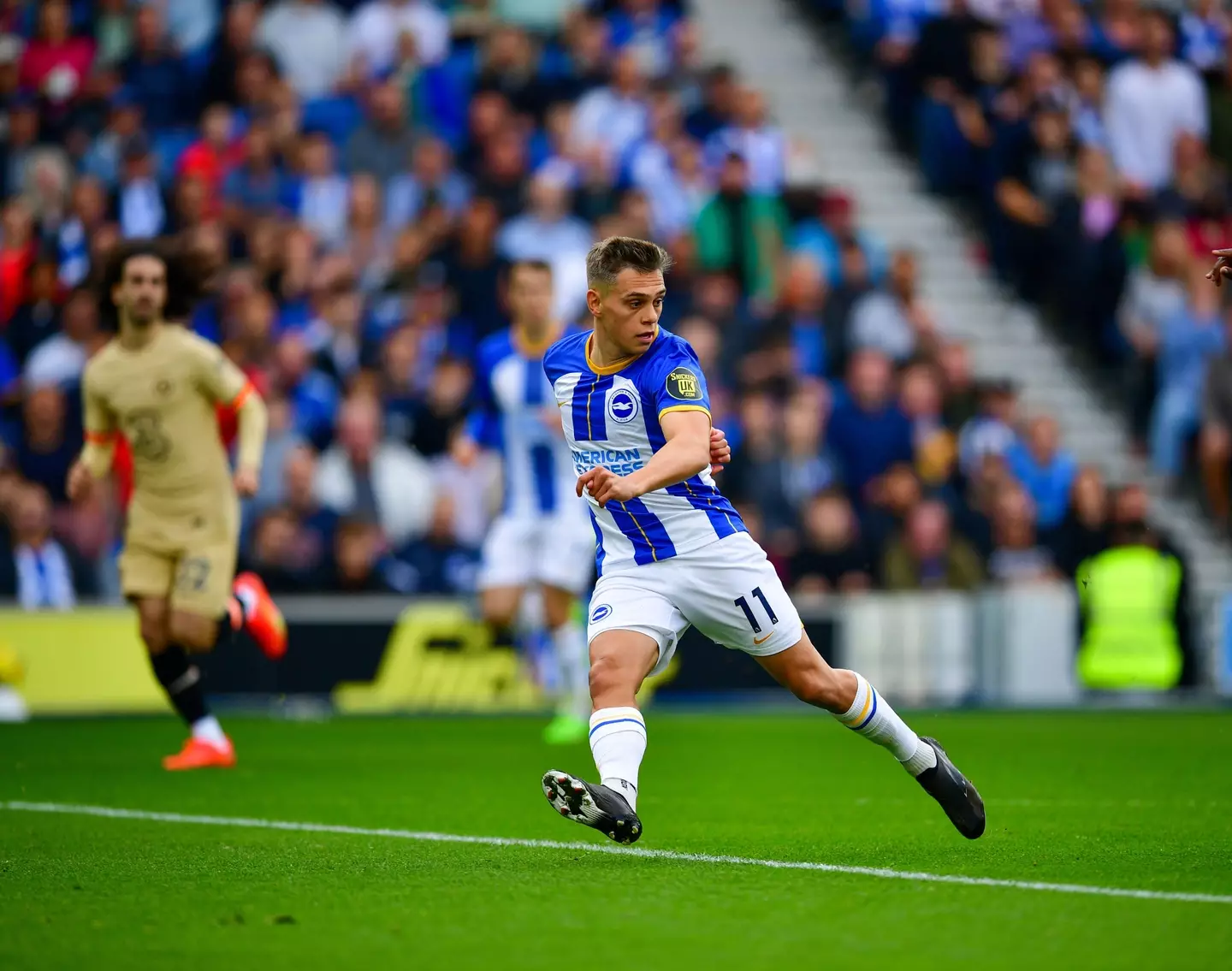 Leandro Trossard of Brighton and Hove Albion makes a run to score the opening goal during the Premier League match between Brighton & Hove Albion and Chelsea. (Alamy)