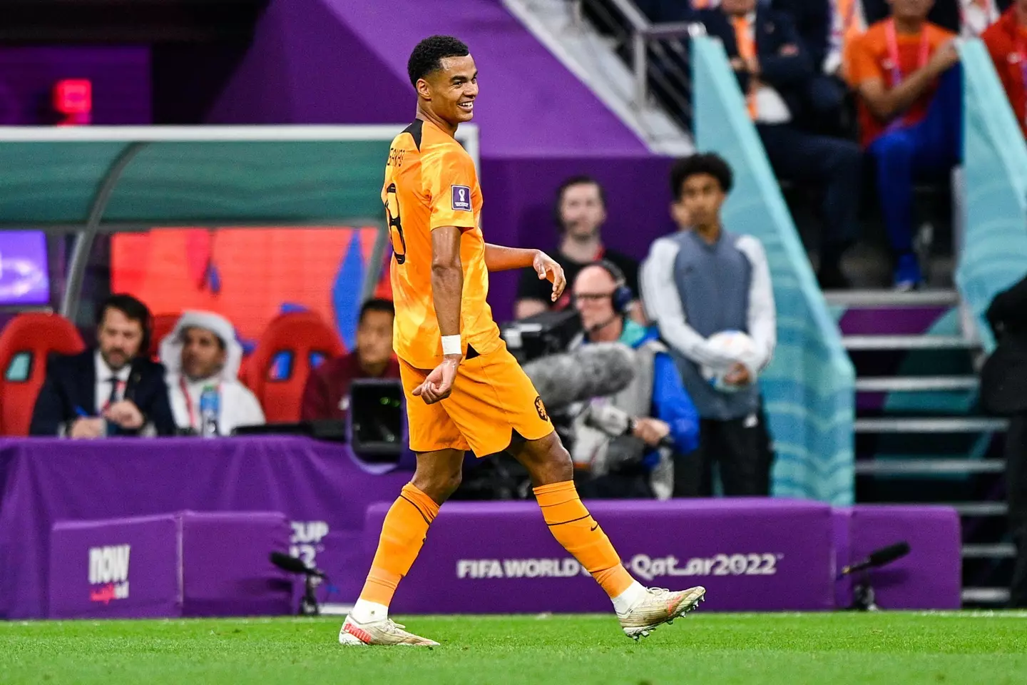 Cody Gakpo celebrates his goal against Qatar. Image: Alamy