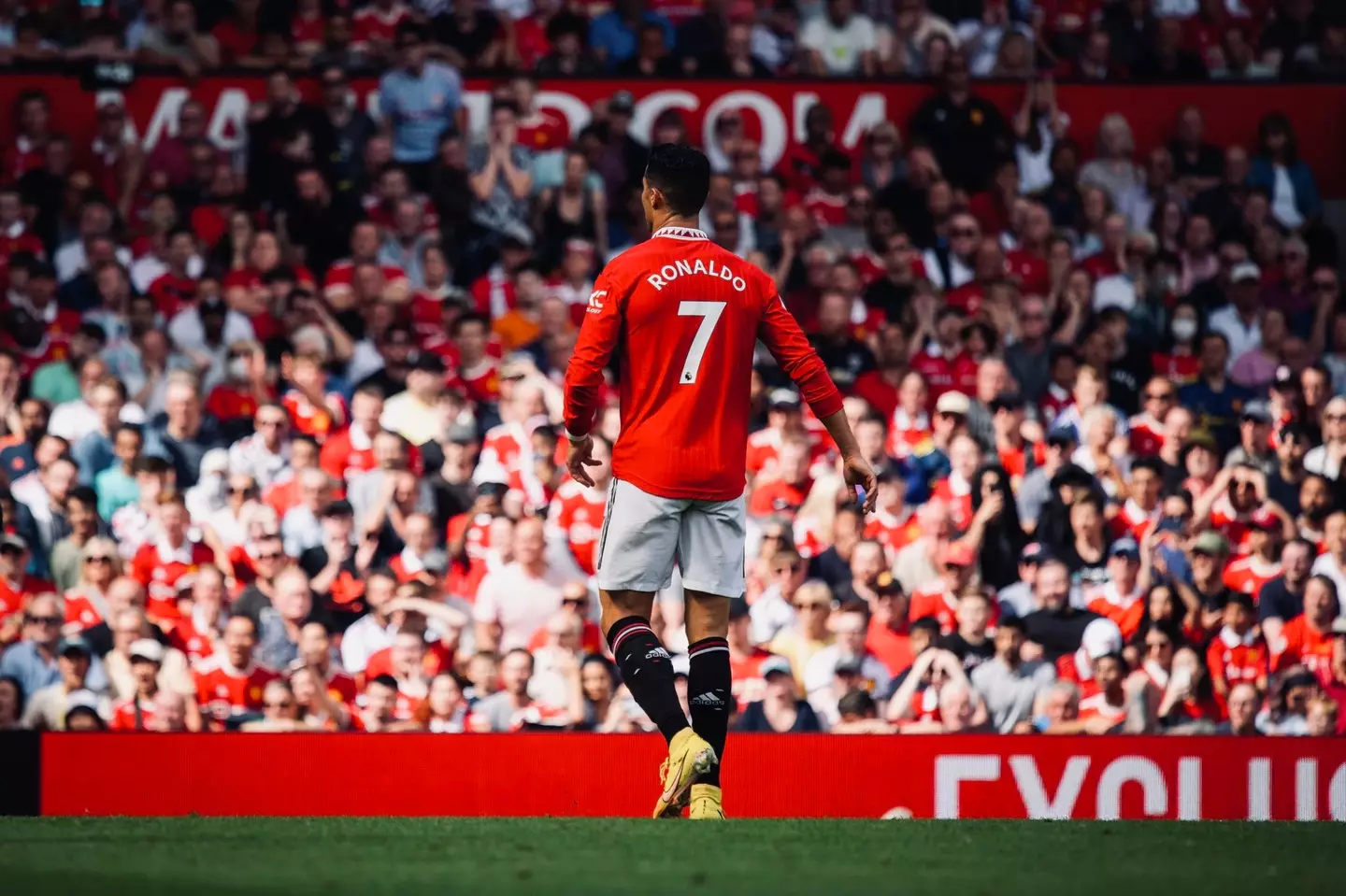 Cristiano Ronaldo against Brighton. (Man Utd)