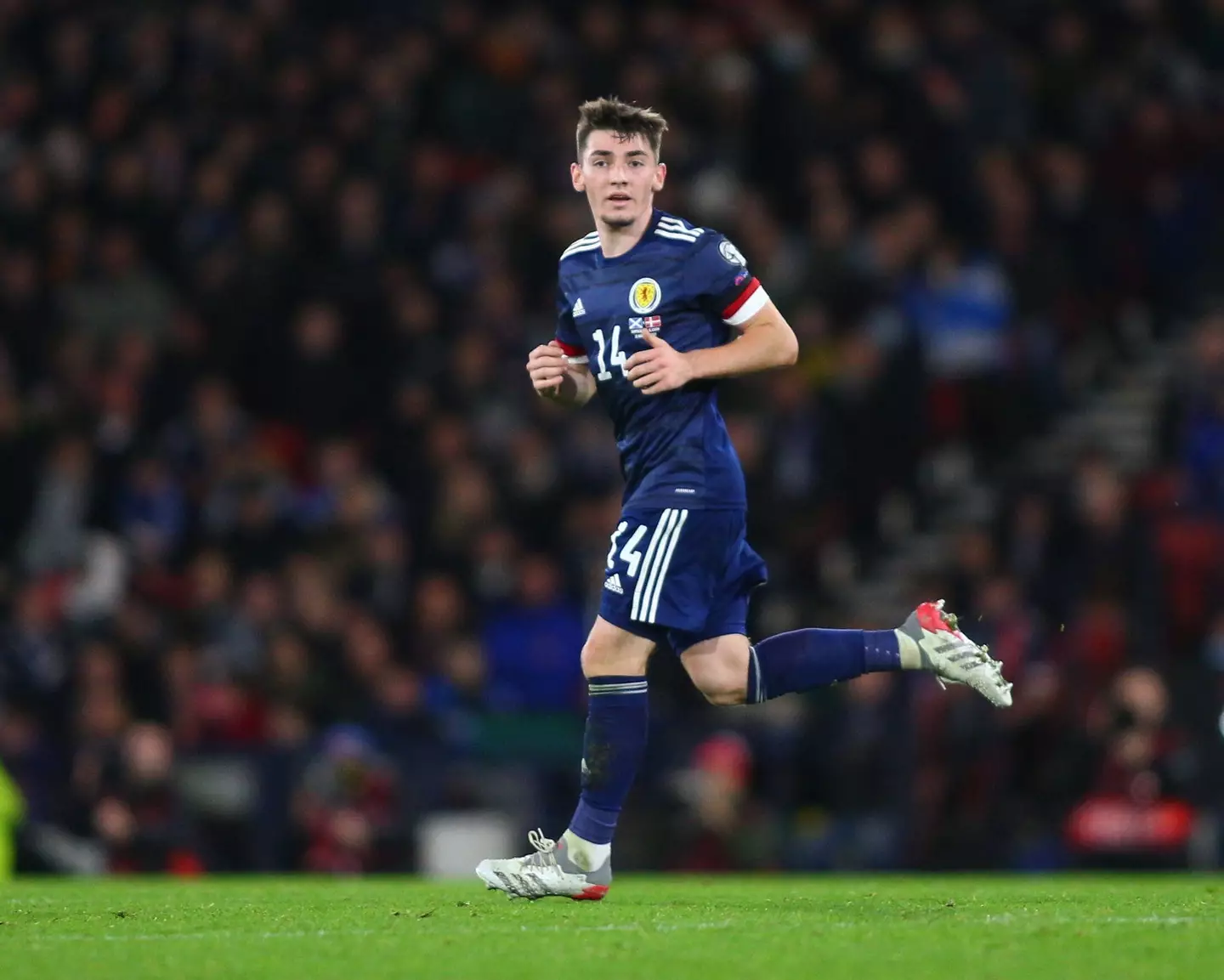  Billy Gilmour of Scotland in a FIFA World Cup 2022 qualification match for Scotland versus Denmark. (Alamy)