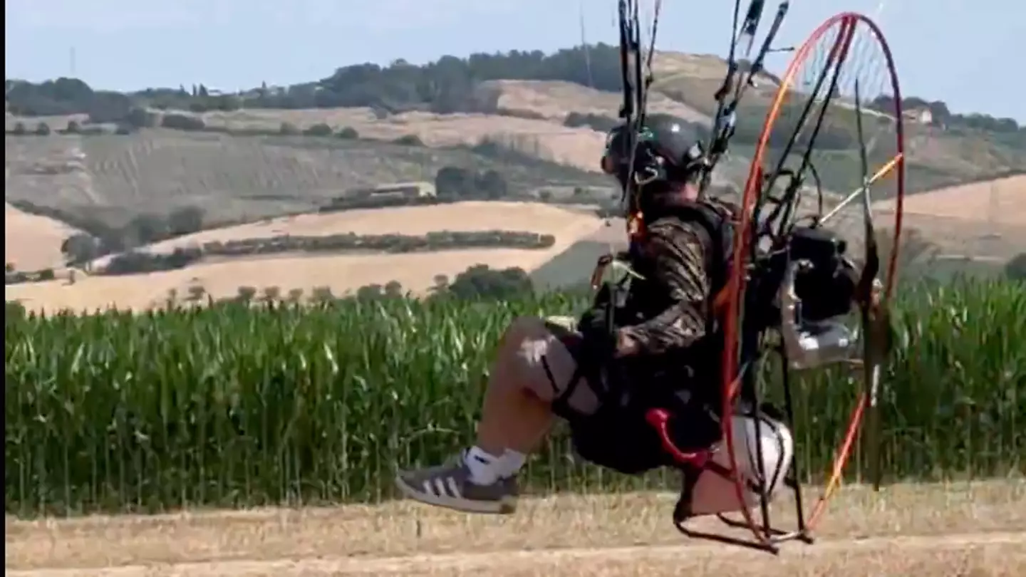 Mihaela Radulescu Schwartzenberg