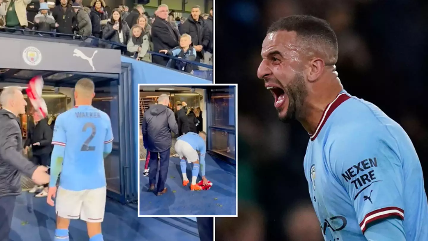 Kyle Walker shows he's still got 'Tottenham DNA' after fan throws Arsenal shirt at him