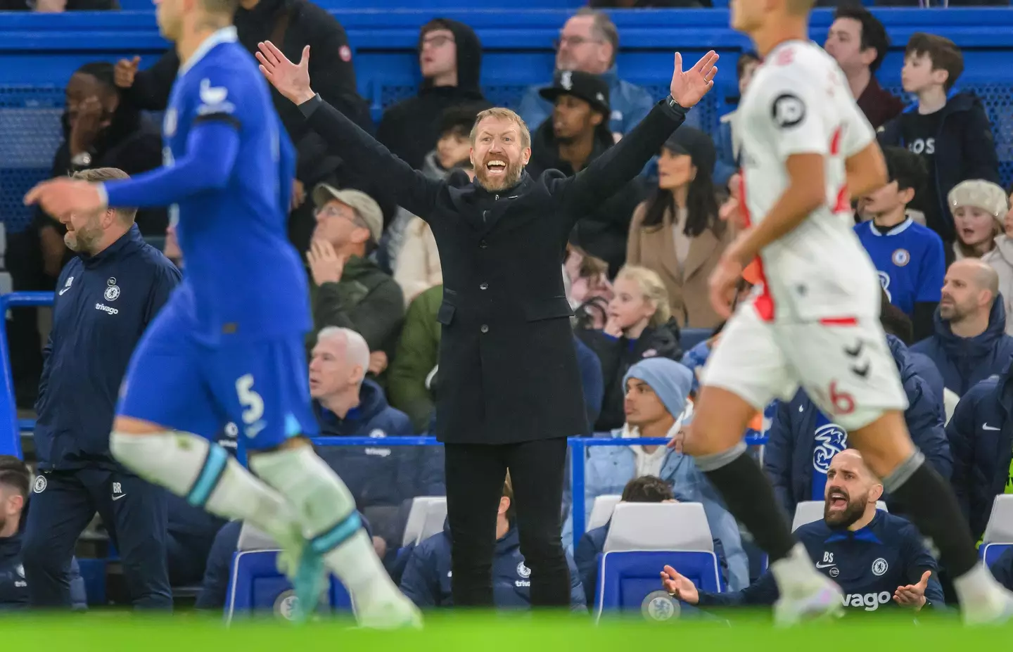 Graham Potter cuts a dejected figure on the touchline. Image: Alamy