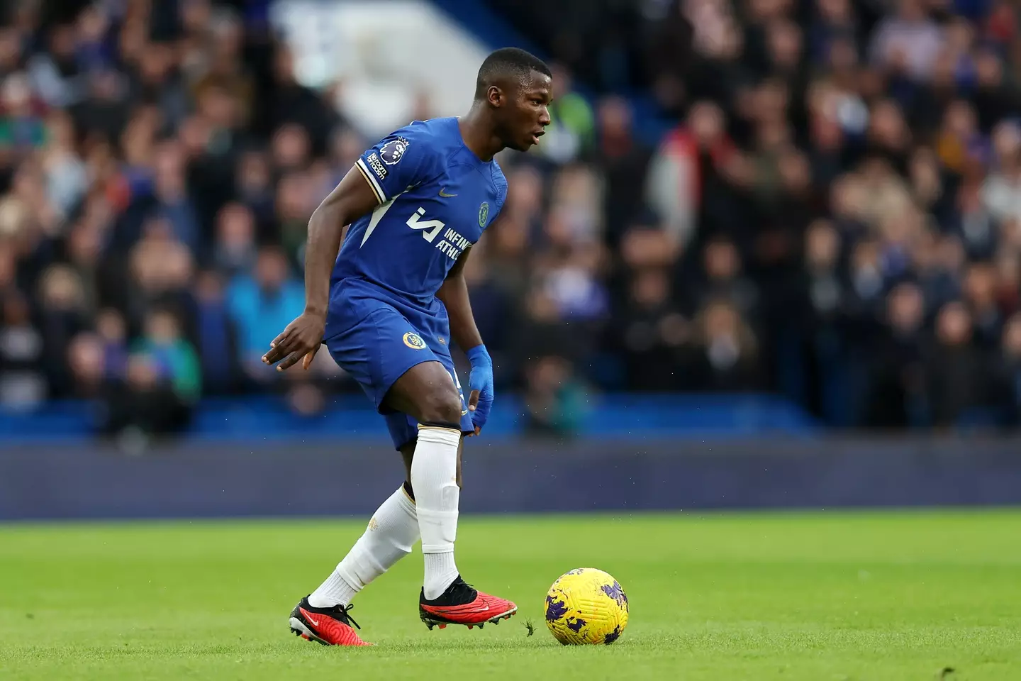 Moises Caicedo in action for Chelsea. Image: Getty