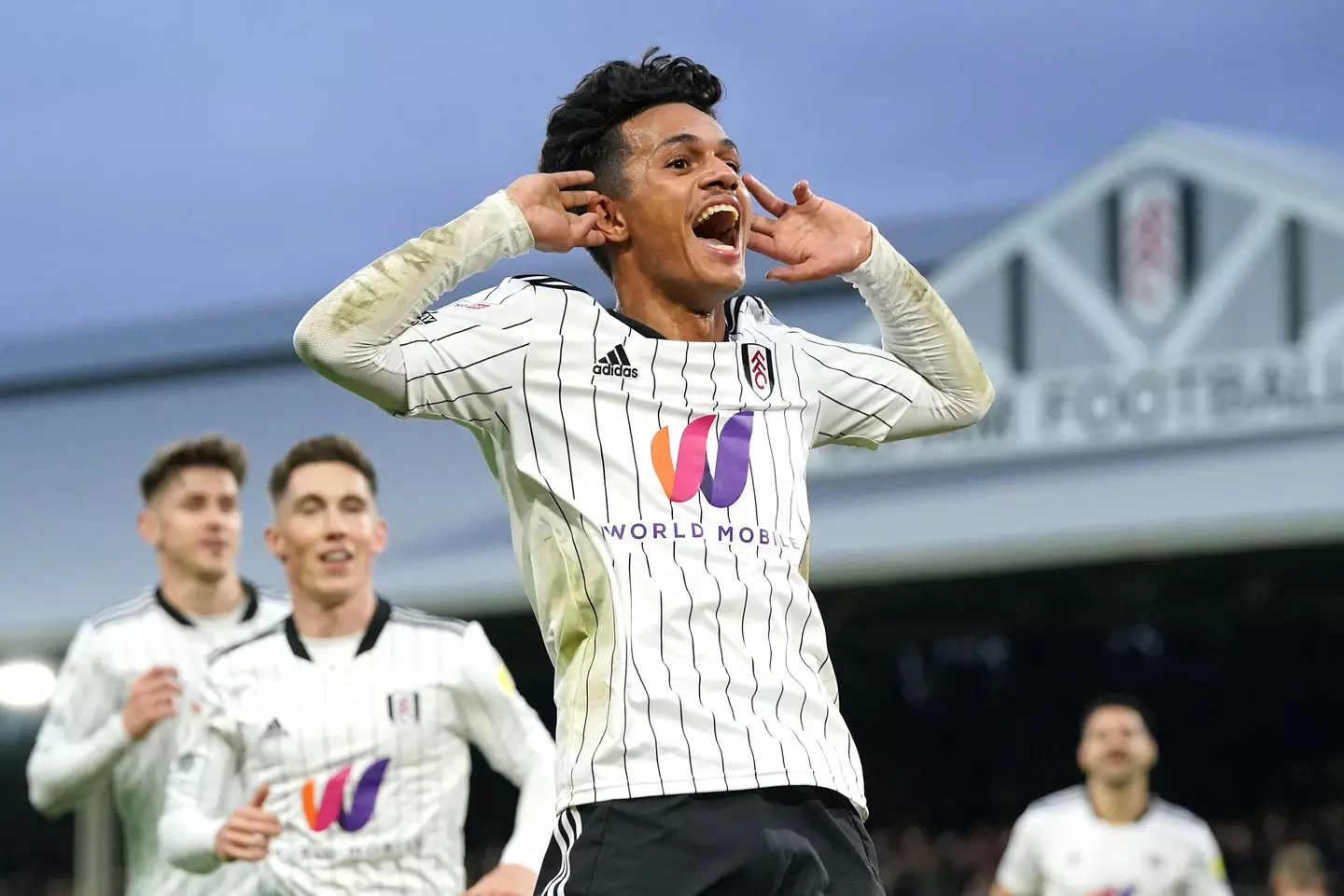 Carvalho was a key part of Fulham's promotion last season. Image: Alamy