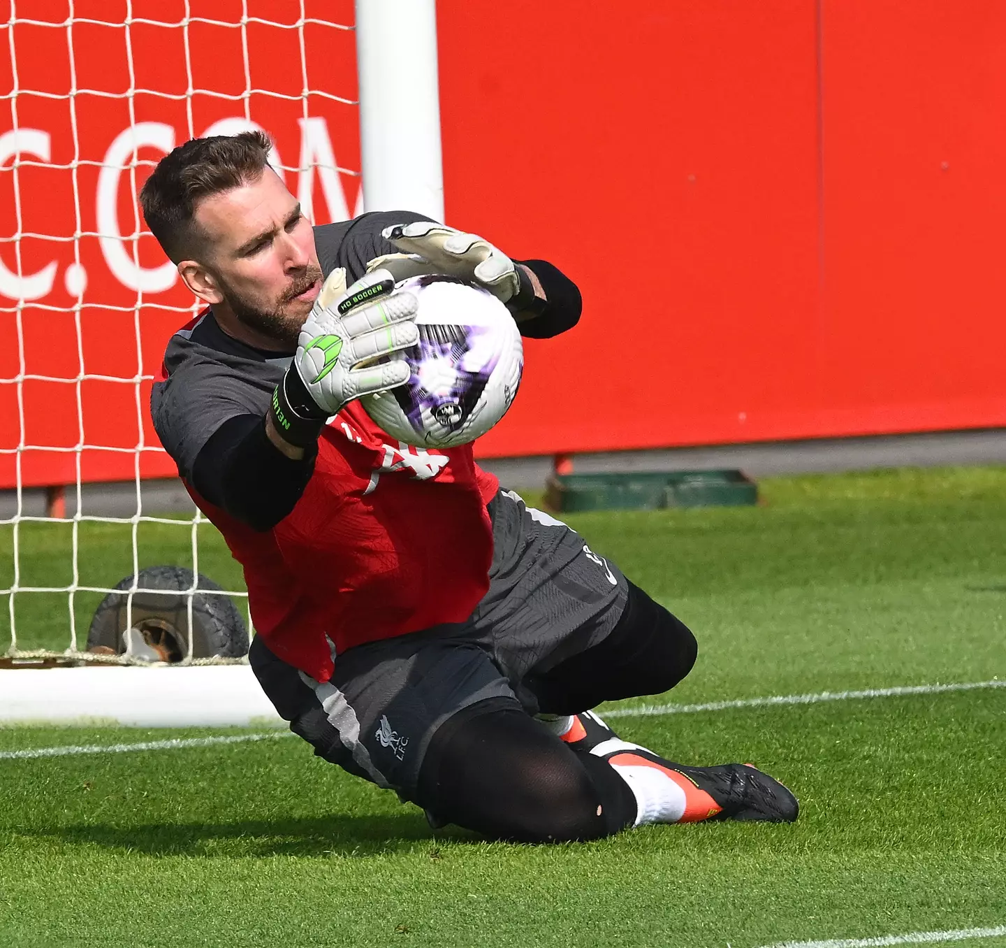 Adrian has made 26 appearances for Liverpool since joining the club in 2019 (Getty)