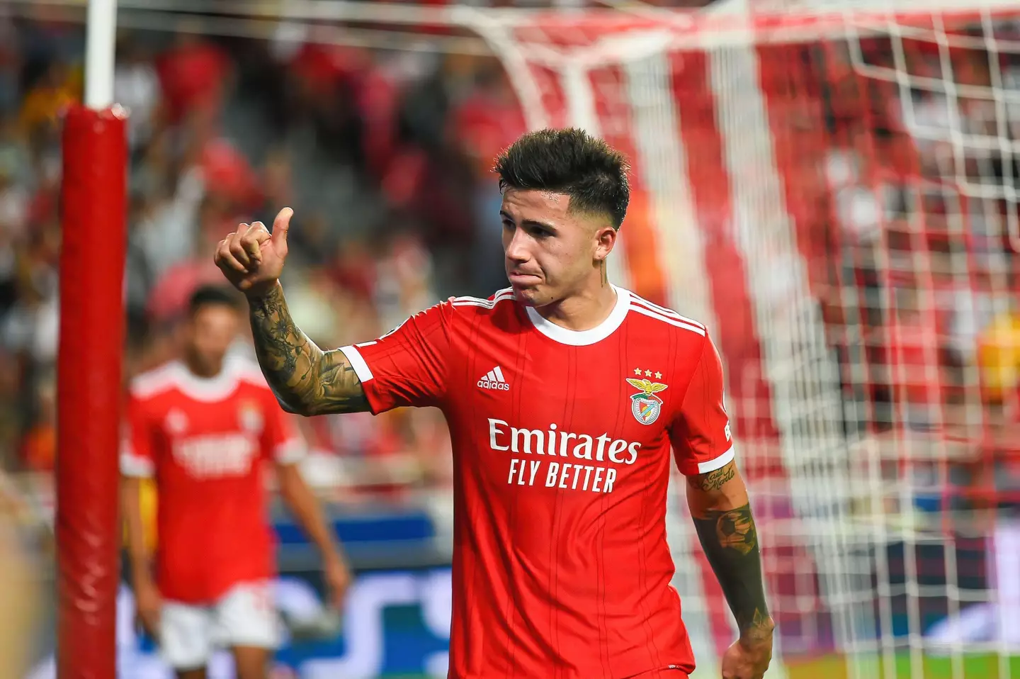 Fernandez is attracting interest from Benfica (Image: Alamy)