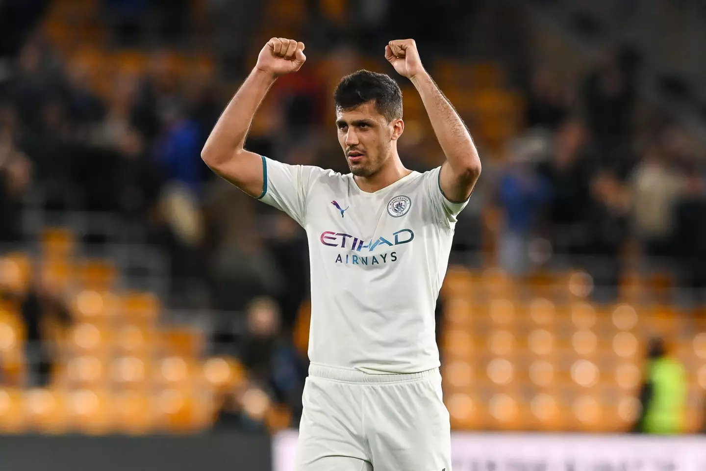 Manchester City midfielder Rodri (News Images / Alamy)