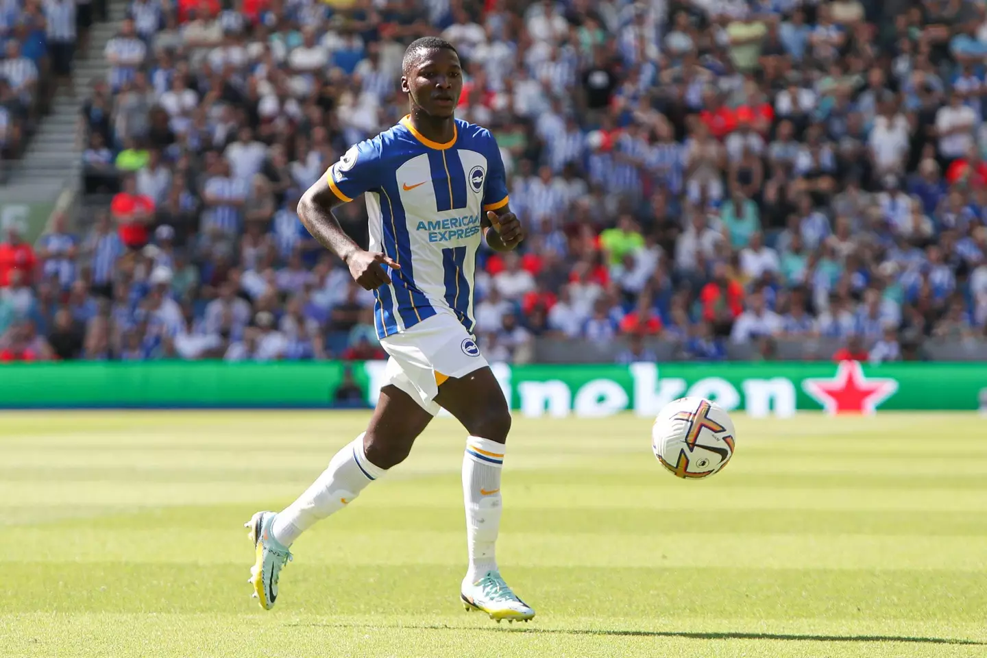 Brighton and Hove Albion's Moises Caicedo in action during the Premier League match at the AMEX Stadium. (Alamy)