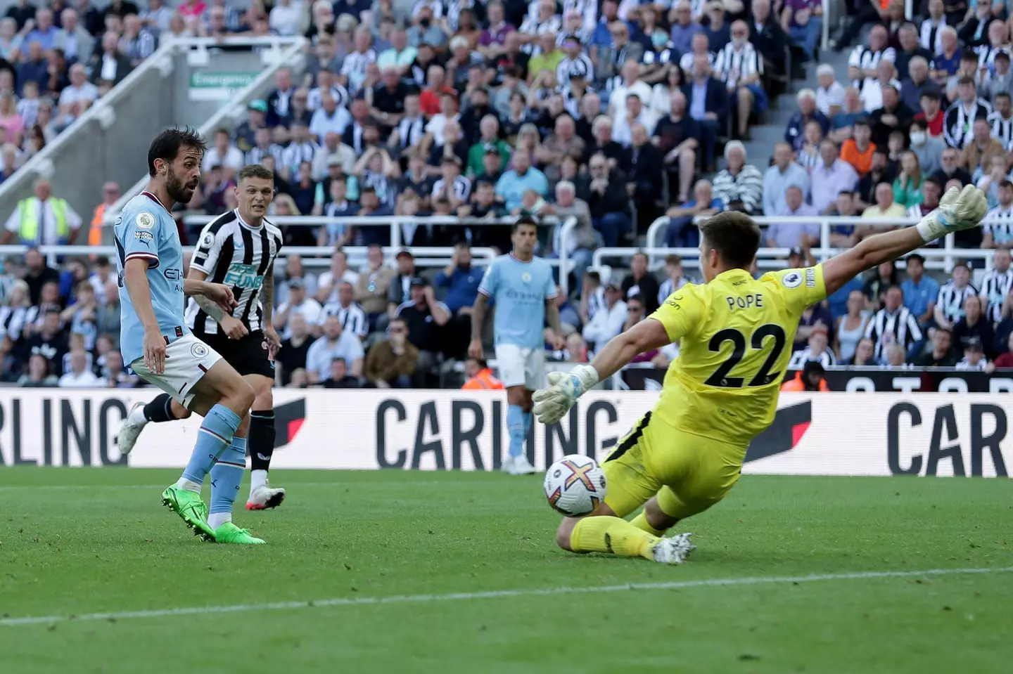 Bernardo Silva scoring against Newcastle (All Star Picture Libray LTD/Alamy)