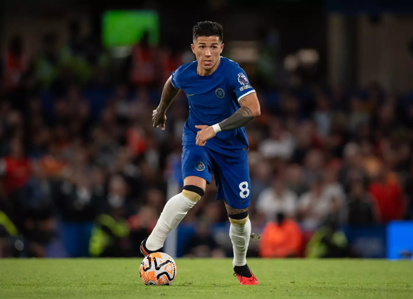 Enzo Fernandez joined Chelsea from Benfica in January (Image: Getty)