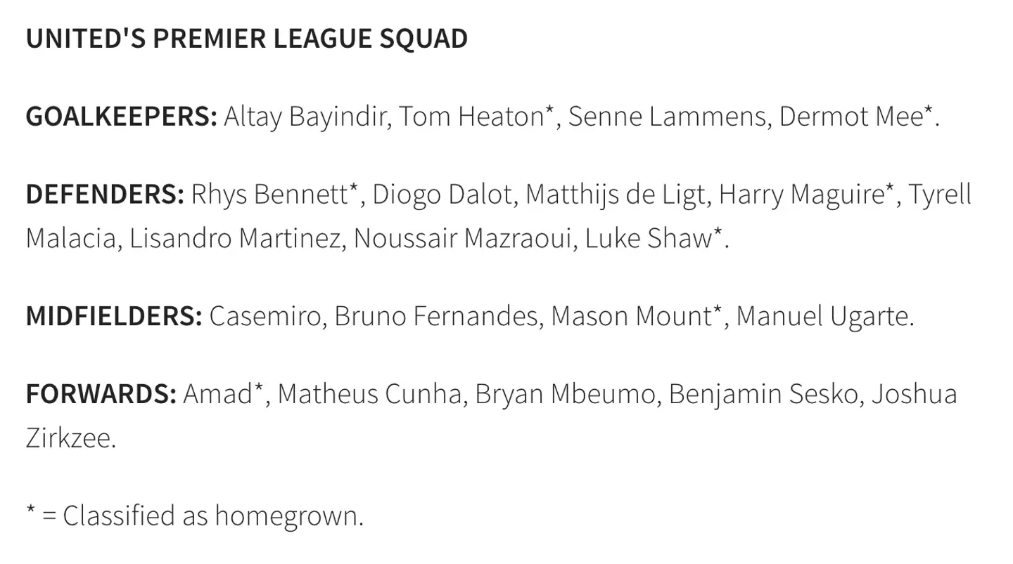 United's full Premier League squad (Image: Manchester United)
