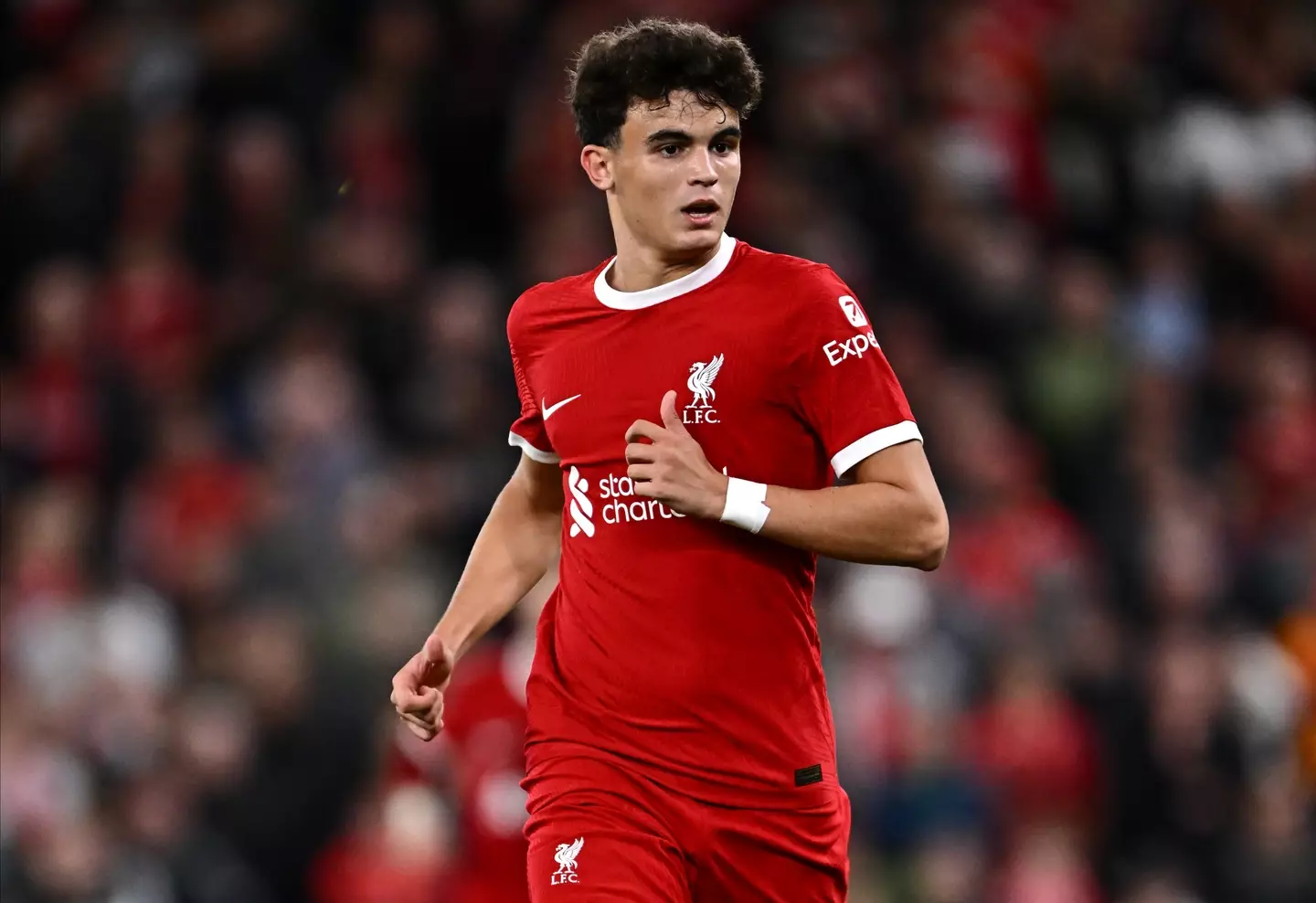 Stefan Bajcetic in action for Liverpool. Image: Getty