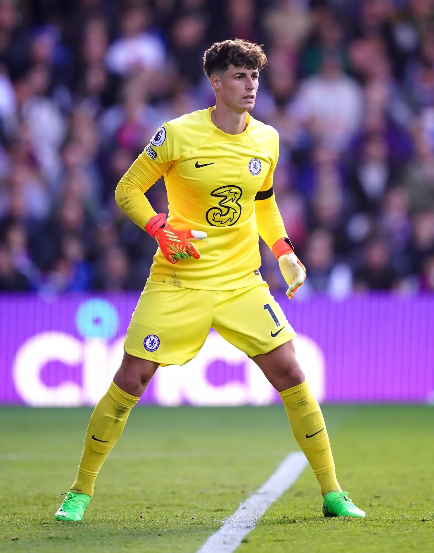 Chelsea goalkeeper Kepa Arrizabalaga during the Premier League match at Selhurst Park, London. (Alamy)
