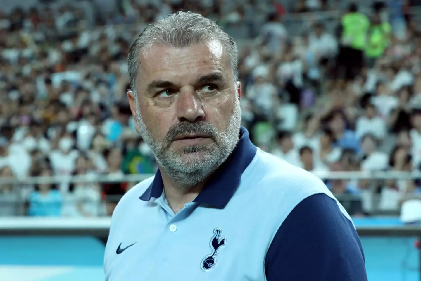 Ange Postecoglou- Getty