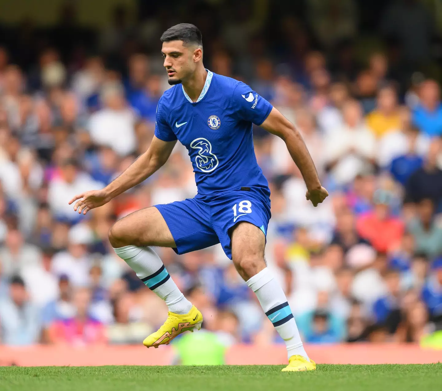 Armando Broja in action against Spurs. (Alamy)