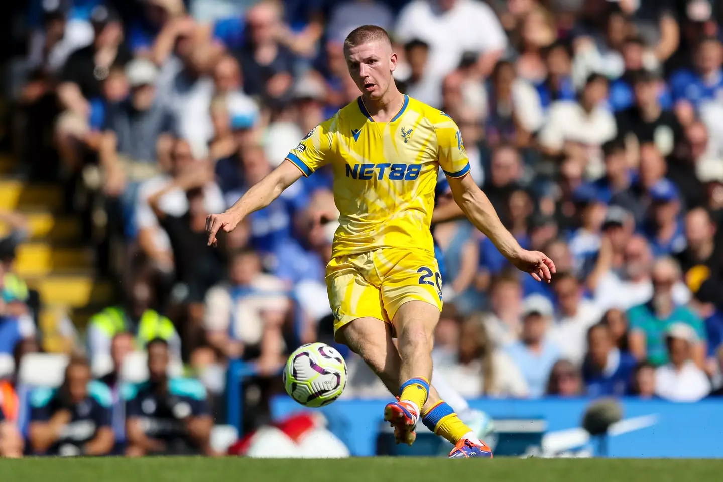 Adam Wharton em ação pelo Crystal Palace. Imagem: Getty