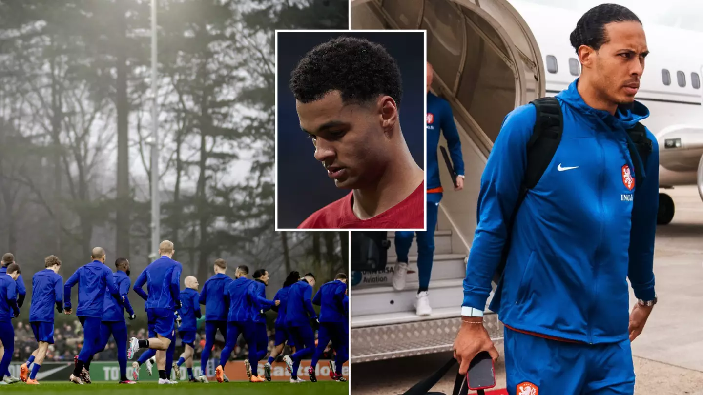 Chicken curry blamed for Netherlands squad problems ahead of France game