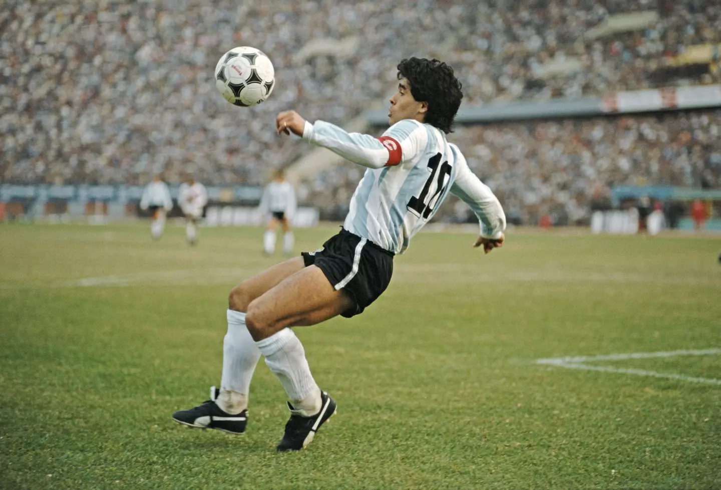 Maradona inspired Argentina to World Cup glory in 1986 (Getty)