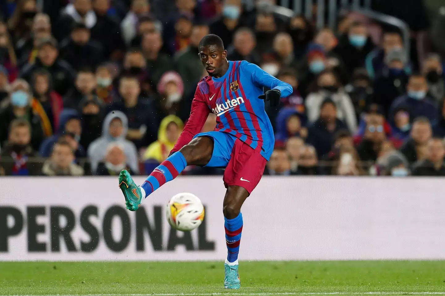 Aflo Co. Ltd. / Alamy