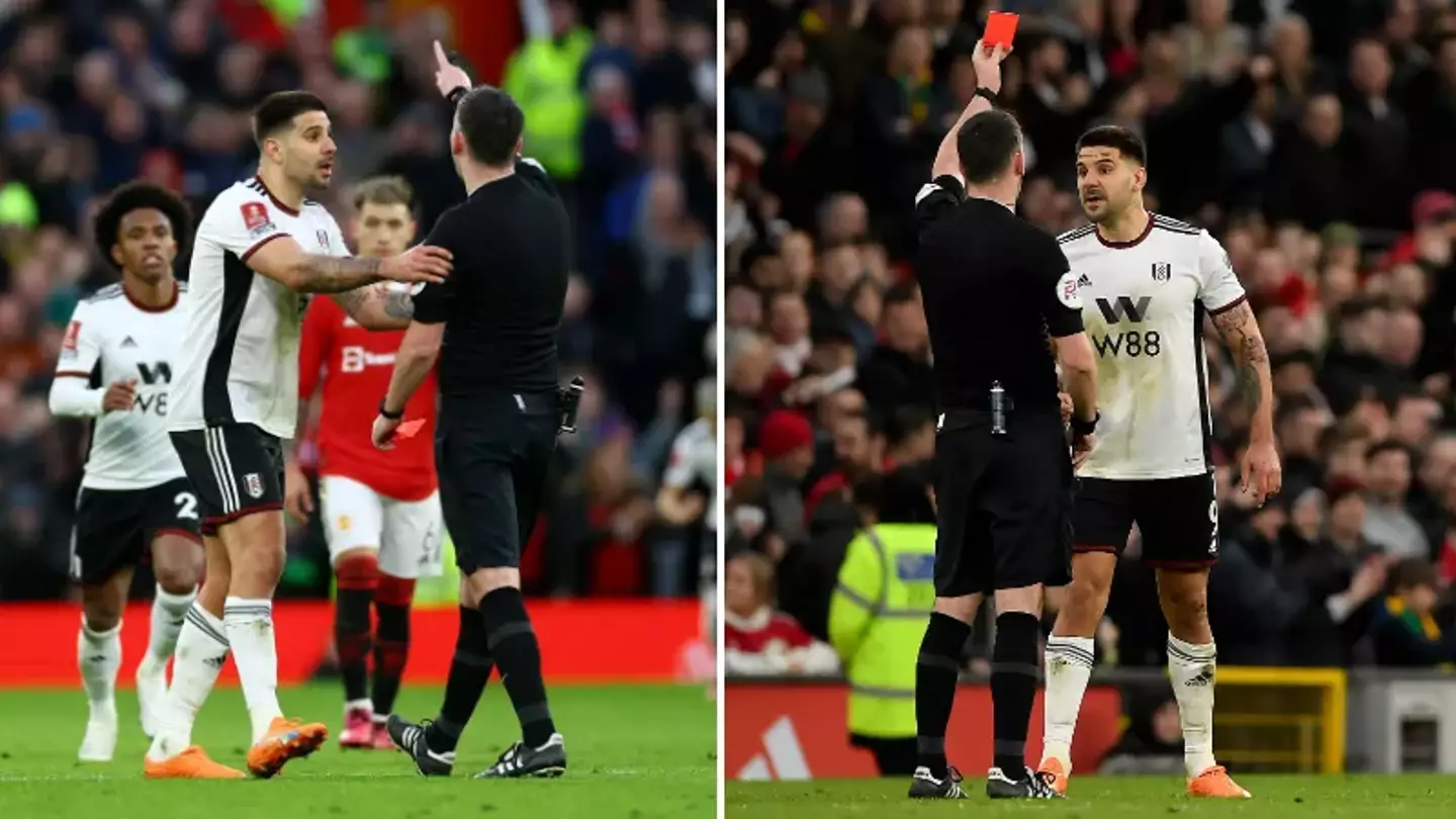 Fulham striker Aleksandar Mitrovic receives EIGHT-match ban after pushing referee Chris Kavanagh in FA Cup tie