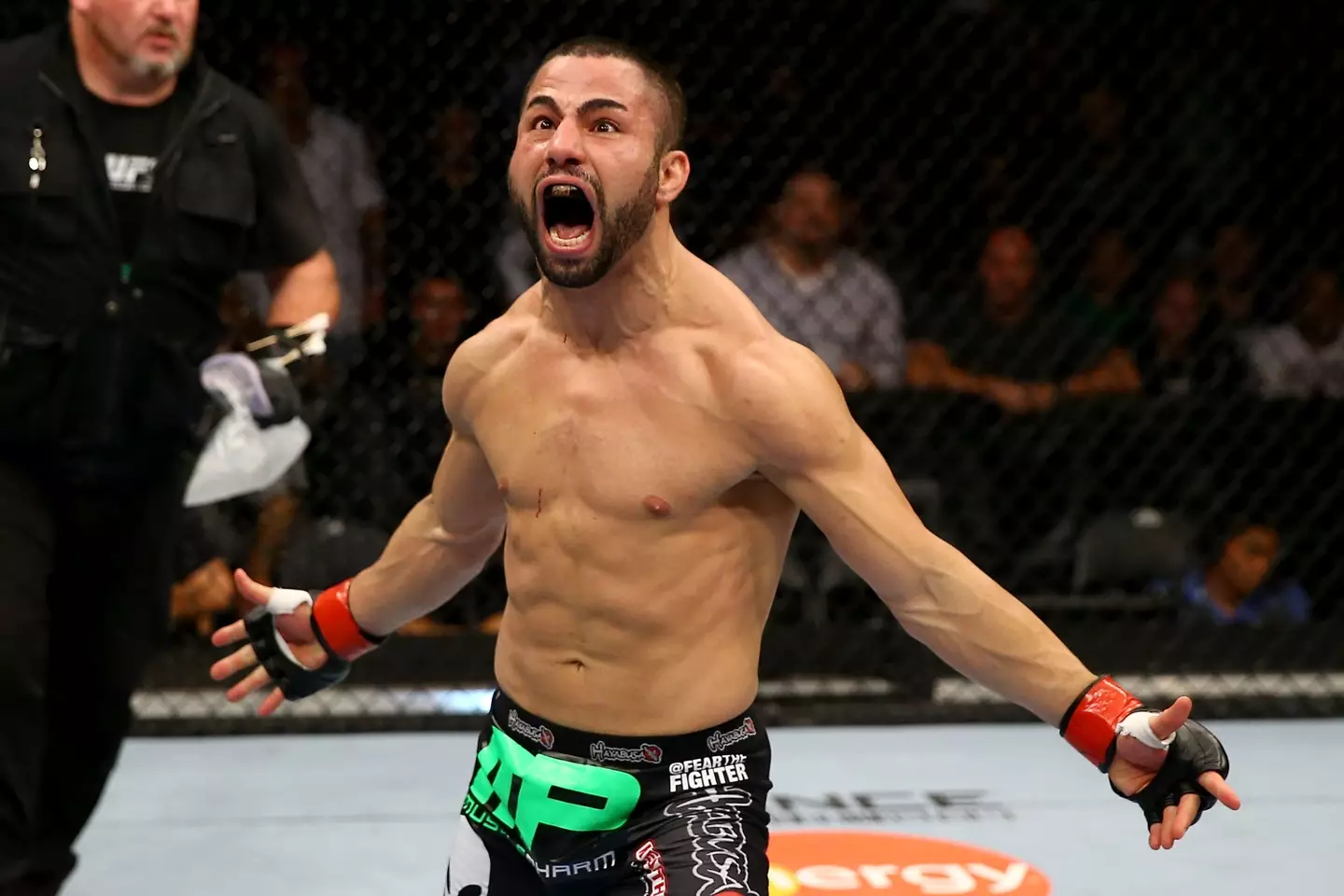 Makdessi was dropped from the UFC in October (Getty)